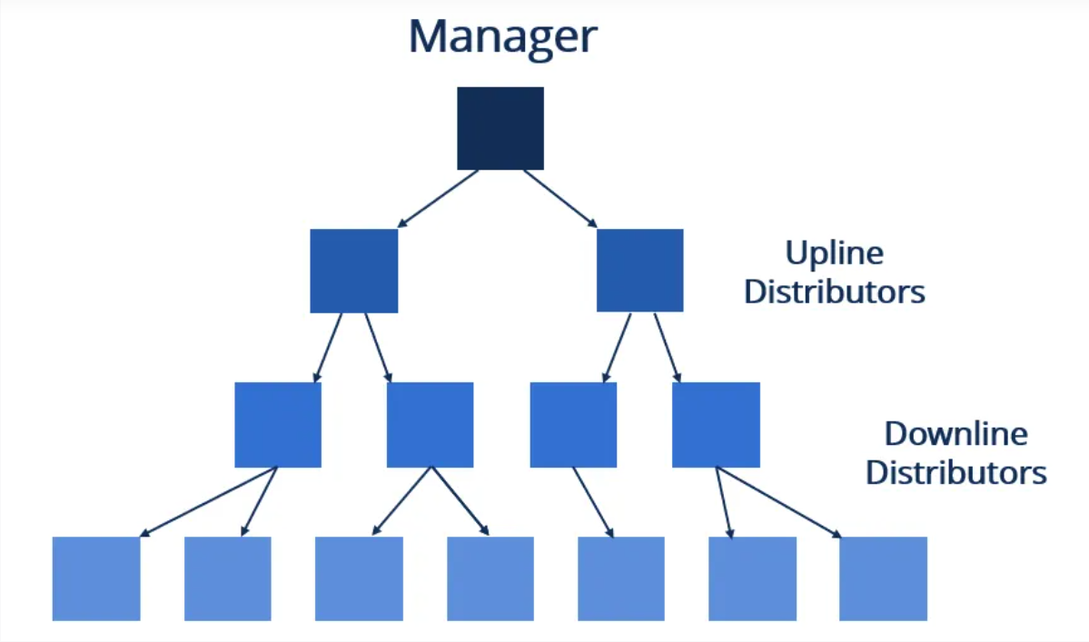 MLM Software Example 2